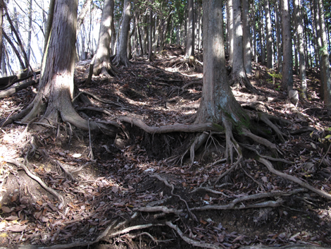 20151116hike (76)
